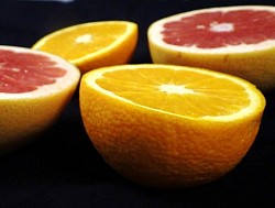 Citrus spp.