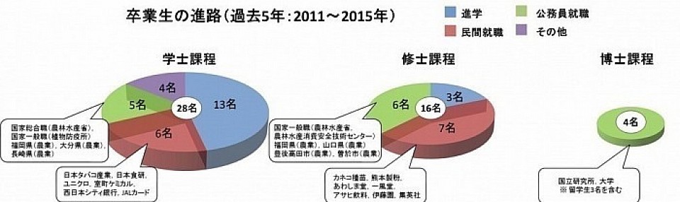 Carrier paths of the graduates